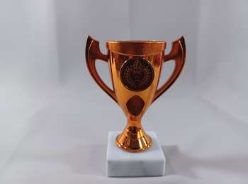 Bronsefarget pokal