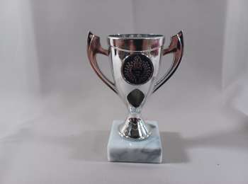 Dalen sølvpokal