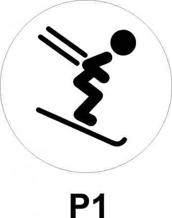 Slalom pictogram